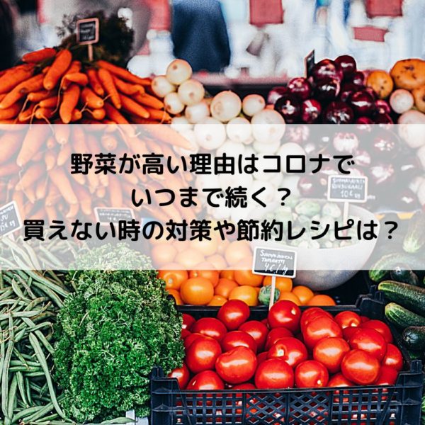 野菜高い理由と高騰いつまで 買えない時の節約対策と代用品は 動画ジャパン