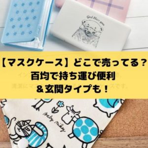 マスクケースどこで売ってる？百均で持ち運び便利＆玄関タイプも！