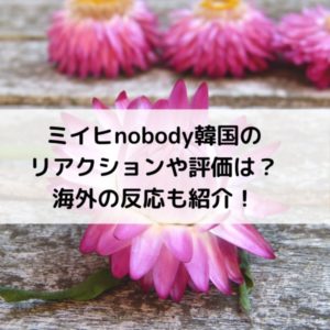 ミイヒnobody韓国のリアクションや評価は？海外の反応も紹介！