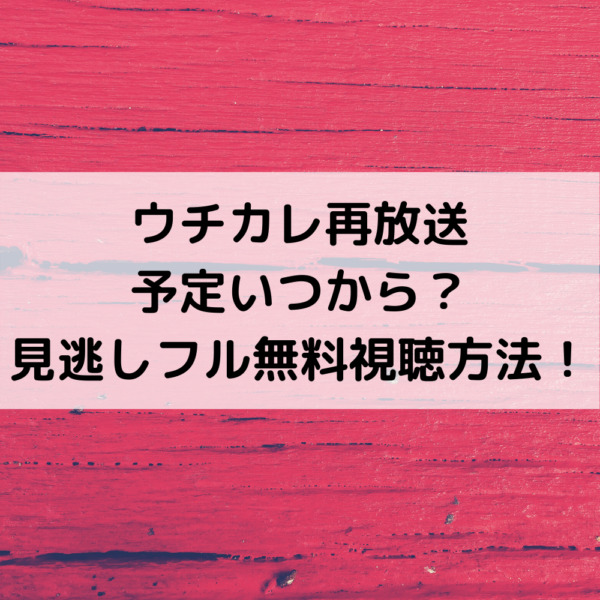 ウチカレ再放送予定いつから？見逃しフル無料視聴方法！