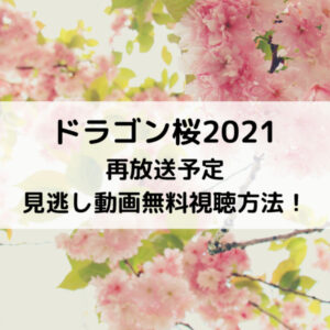 ドラゴン桜2021再放送予定見逃し動画無料視聴方法！