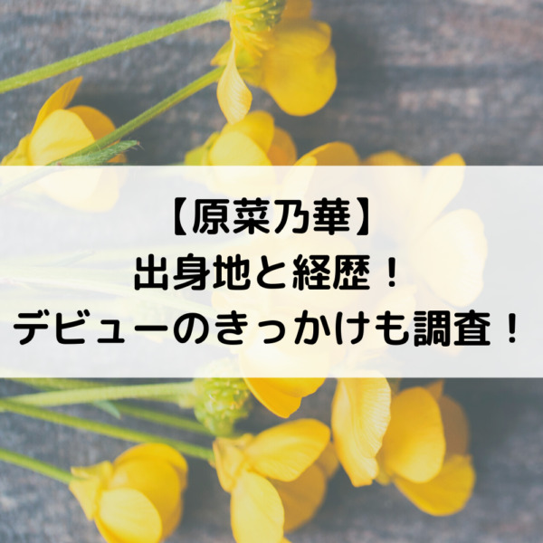 原菜乃華の出身地と経歴！デビューのきっかけも調査！
