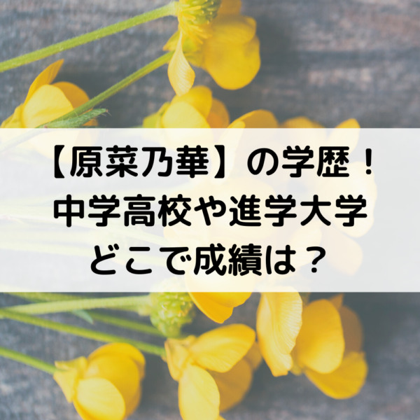 原菜乃華の学歴！中学高校や進学大学どこで成績は？
