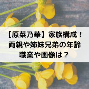 原菜乃華の家族構成！両親や姉妹兄弟の年齢職業や画像は？