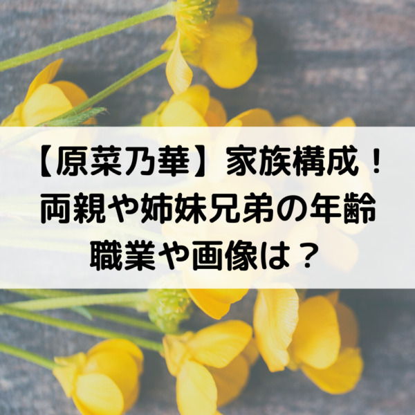 原菜乃華の家族構成！両親や姉妹兄弟の年齢職業や画像は？