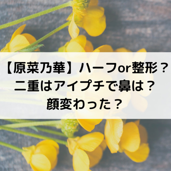 原菜乃華はハーフor整形？かわいい二重はアイプチで鼻は顔変わった？