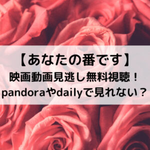 あなたの番です映画動画見逃し無料視聴！pandoraやdailyで見れない？
