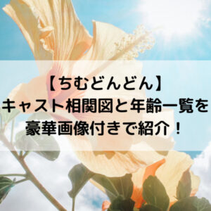 ちむどんどんキャスト相関図と年齢一覧を豪華画像付きで紹介！
