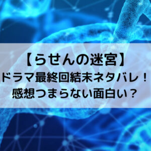 らせんの迷宮ドラマ最終回結末ネタバレ！感想つまらない面白い？