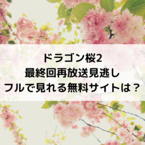 ドラゴン桜2最終回再放送見逃しフルで見れる無料サイトは？