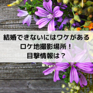 結婚できないにはワケがあるロケ地撮影場所！目撃情報は？