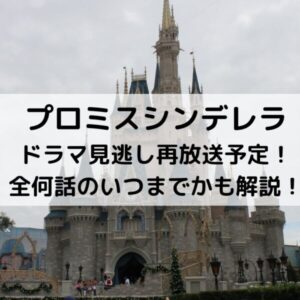 プロミスシンデレラドラマ最終回結末ネタバレあらすじ 考察と感想も 動画ジャパン