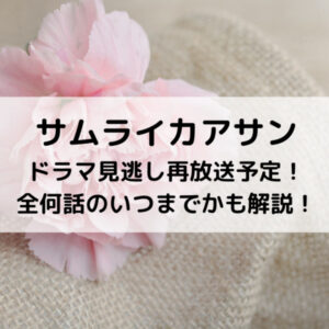 サムライカアサンドラマ見逃し再放送予定！全何話のいつまでかも解説！