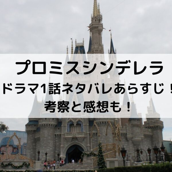 プロミスシンデレラドラマ1話ネタバレあらすじ！考察と感想も！