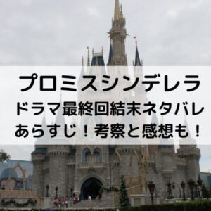 プロミスシンデレラドラマ最終回結末ネタバレあらすじ！考察と感想も！