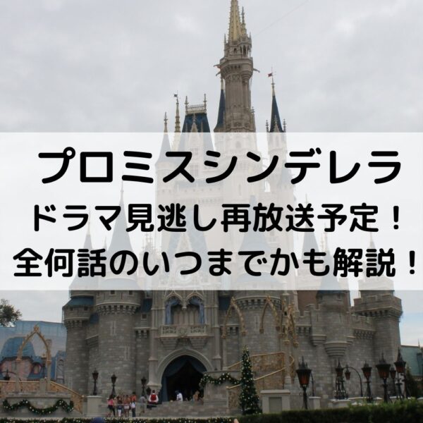 プロミスシンデレラドラマ見逃し再放送予定！全何話のいつまでかも解説！