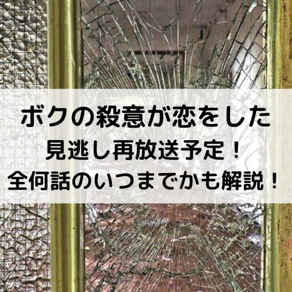 ボクの殺意が恋をした再放送予定！全何話のいつまでかも解説！
