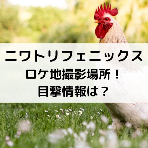 ニワトリフェニックスロケ地撮影場所！目撃情報は？