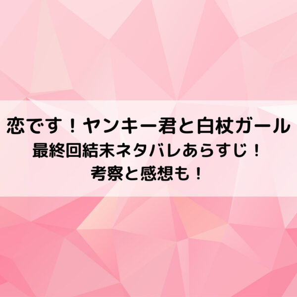 恋ですヤンキー君と白杖ガール最終回結末ネタバレあらすじ 考察と感想も 動画ジャパン