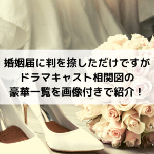 婚姻届に判を捺しただけですがドラマキャスト相関図の豪華一覧を画像付きで紹介！