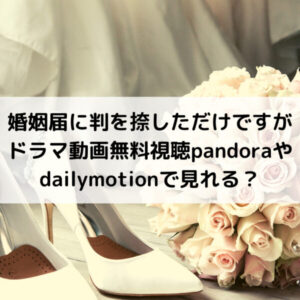 婚姻届に判を捺しただけですがドラマ動画無料視聴パンドラやデイリーで見れる？
