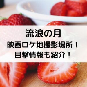 流浪の月映画ロケ地撮影場所！目撃情報も紹介！ (1)