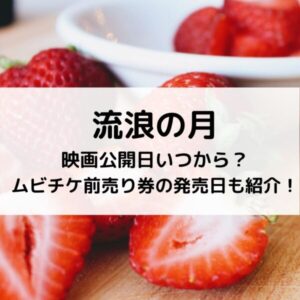 流浪の月映画公開日いつから？ムビチケ前売り券の発売日も紹介！