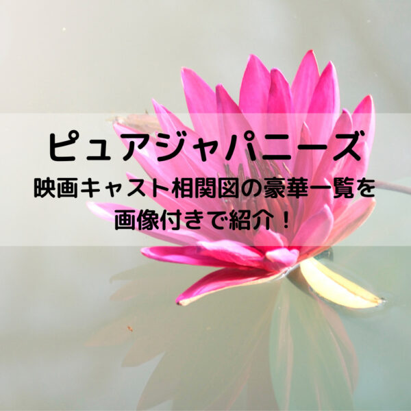 ピュアジャパニーズ映画キャスト相関図の豪華一覧を画像付きで紹介！