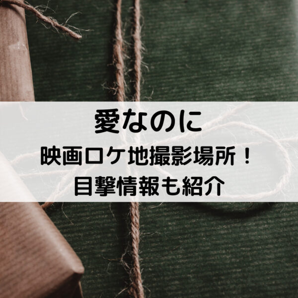 愛なのに映画ロケ地撮影場所!目撃情報も紹介