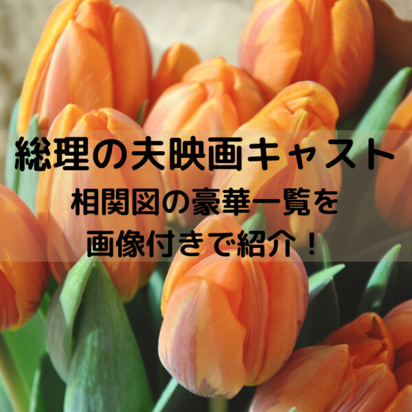 総理の夫映画キャスト相関図の豪華一覧を画像付きで紹介！