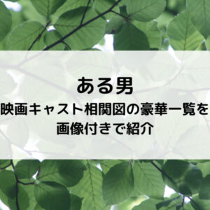 ある男映画キャスト相関図の豪華一覧を画像付きで紹介