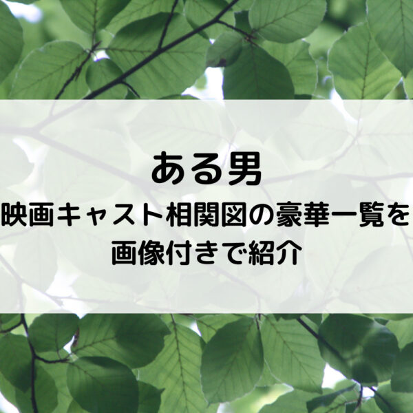 ある男映画キャスト相関図の豪華一覧を画像付きで紹介