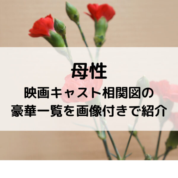 母性映画キャスト予想と相関図の豪華一覧を画像付きで紹介 動画ジャパン 母性映画キャスト予想と相関図の豪華一覧を画像付きで紹介 動画ジャパン