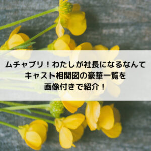 ムチャブリわたしが社長になるなんてキャスト相関図の豪華一覧を画像付きで紹介！