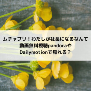 ムチャブリわたしが社長になるなんて動画無料視聴pandoraやDailymotionで見れる？