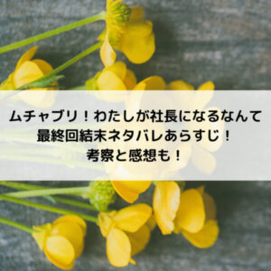 ムチャブリわたしが社長になるなんて最終回結末ネタバレあらすじ！考察と感想も！